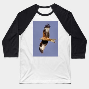 Soaring Red Kite Baseball T-Shirt